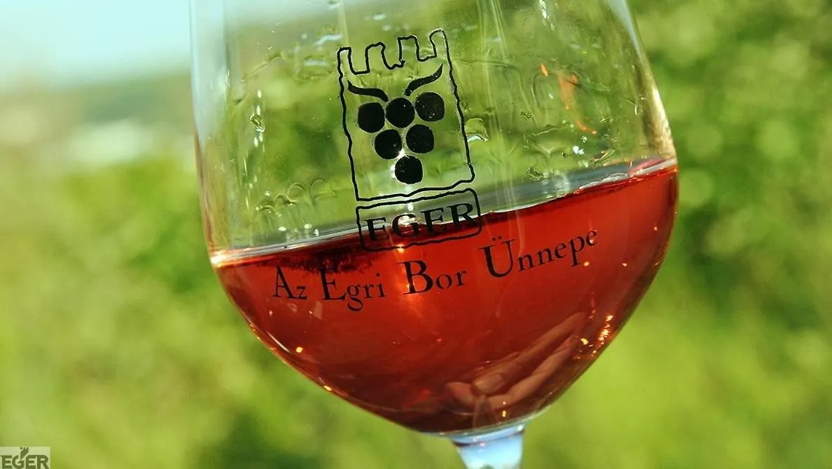 Appartamento Ceh-Var-Lak Eger